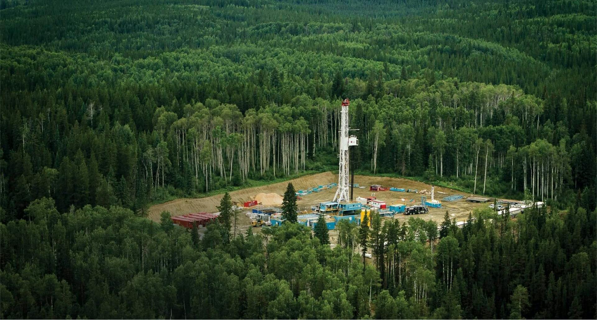 Gas plant in forest